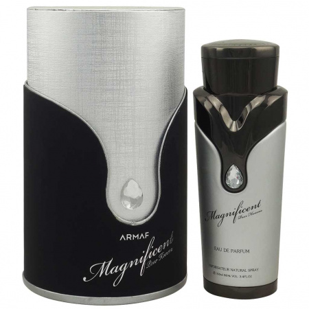 Magnificent pour Homme (п. в.) edp 100ml м
